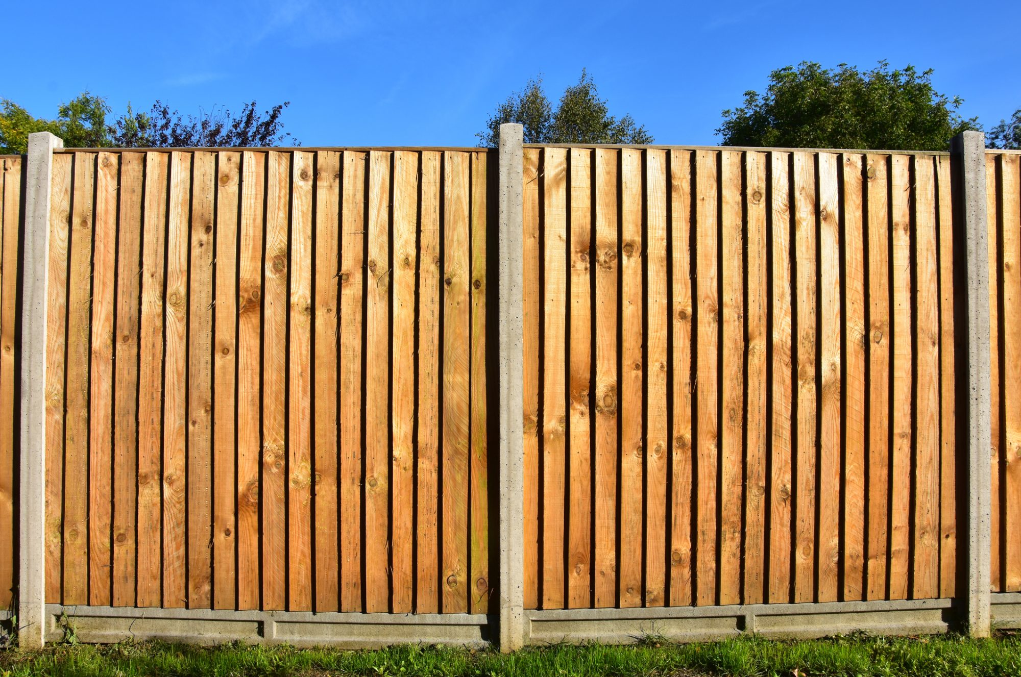 Two panels of a classic wooden featheredge garden fence with concrete support posts