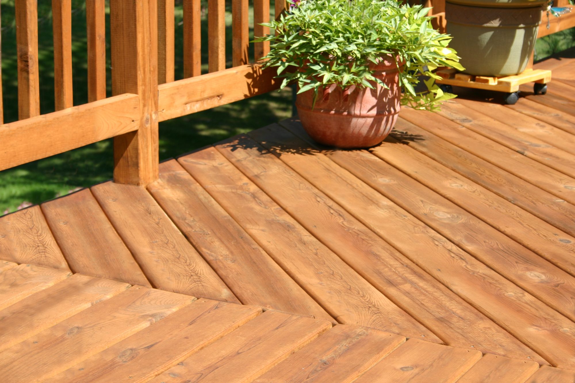 A pine colored deck with some plants