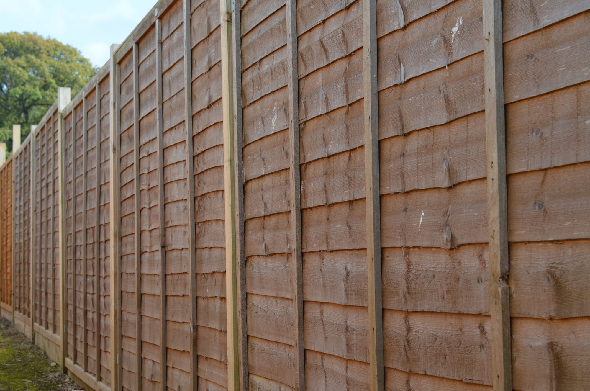 Row of newly erected wooden fence panels.